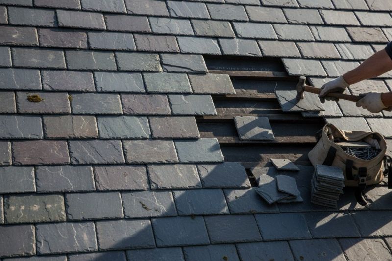 Damaged Roof Repair